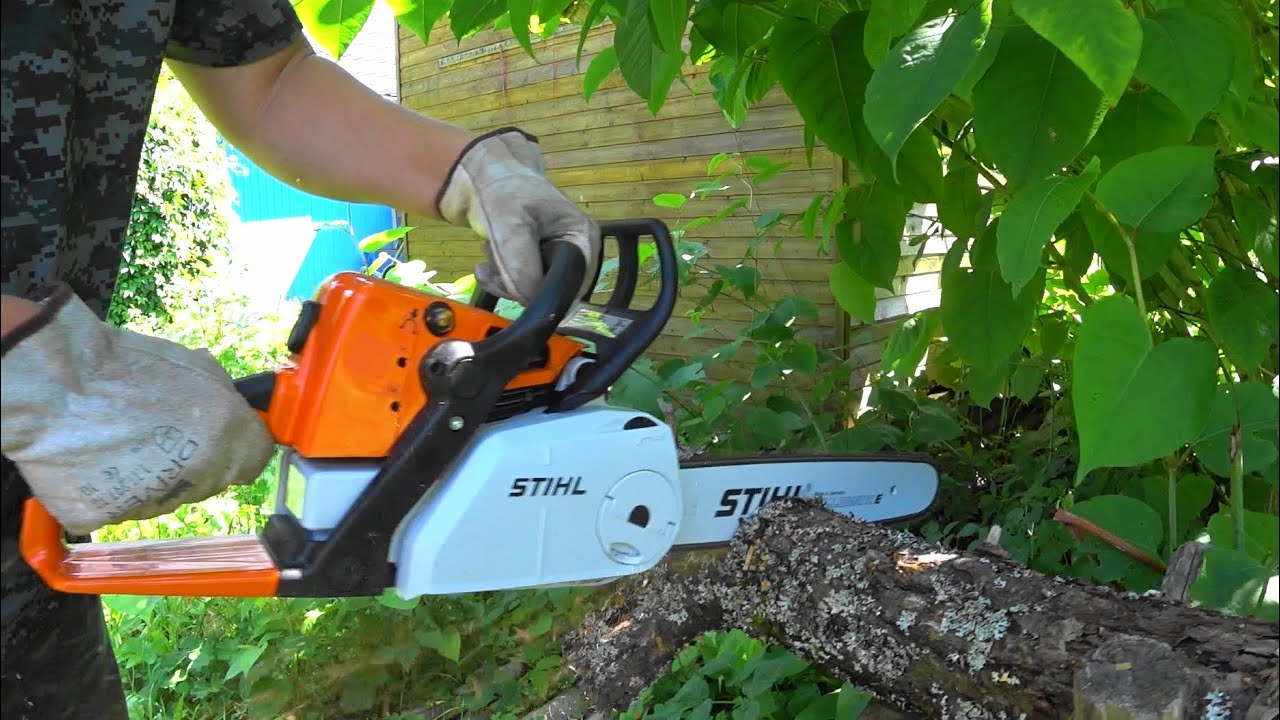 STIHL MS 250