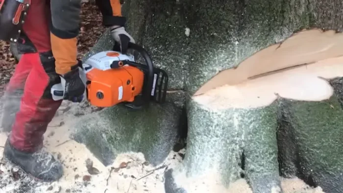 la tronçonneuse STIHL MS 661