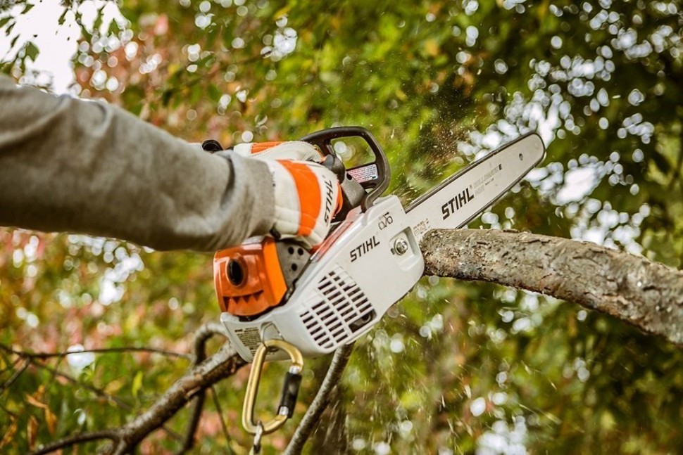 STIHL MS 194 T - Revue de la tronçonneuse