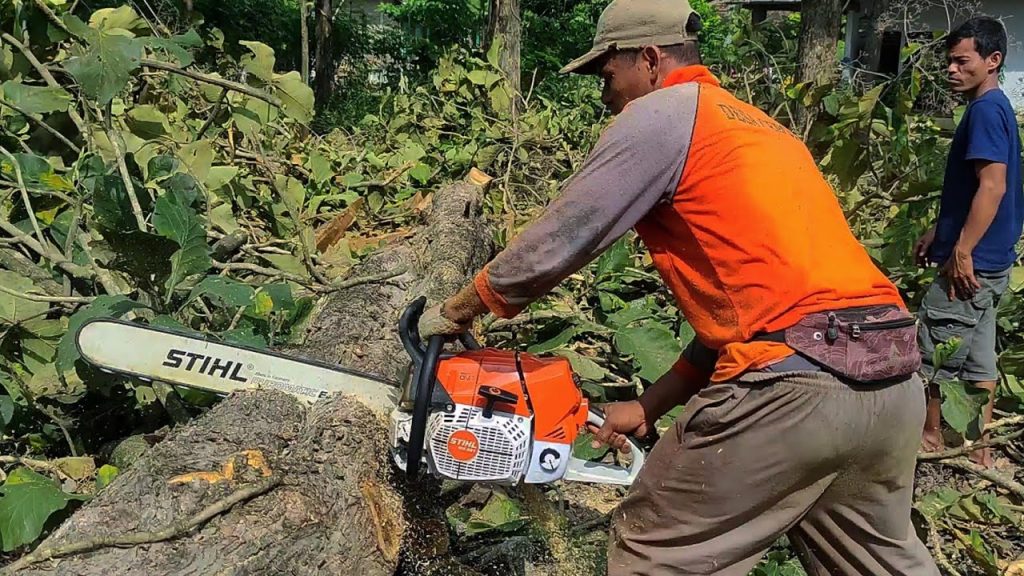 STIHL MS 881