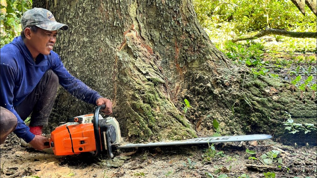 STIHL MS 881 - Examen de la tronçonneuse